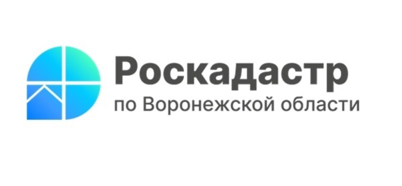 Больше миллиона сведений из ЕГРН выдал региональный Роскадастр за полгода.