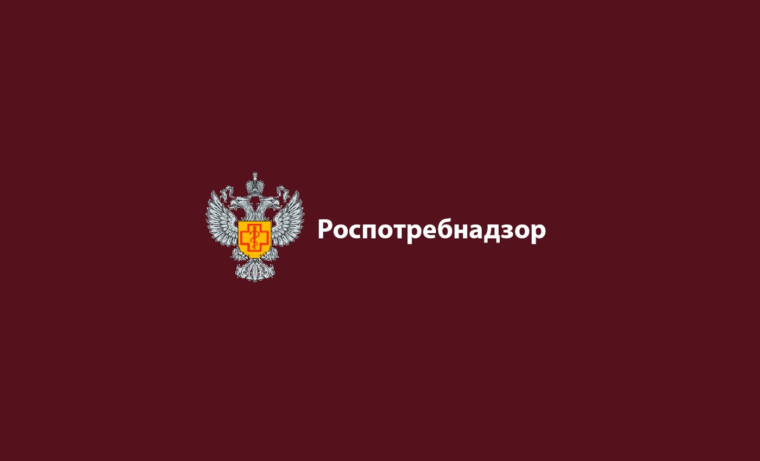 Профилактика бешенства. Профилактика бешенства.